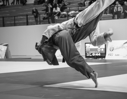 MASTERS FPJ 2014 - Judo, Portugal