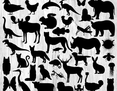 Animal Silhouette Illustration Bundle - 50 Images