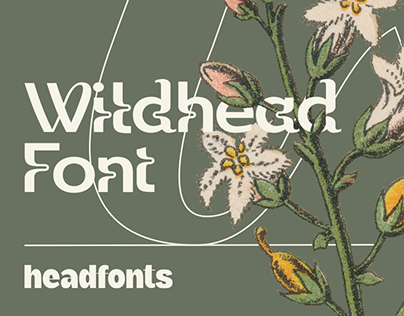 Wildhead Display Font