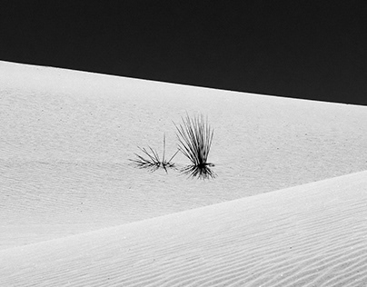 Black / White Sands
