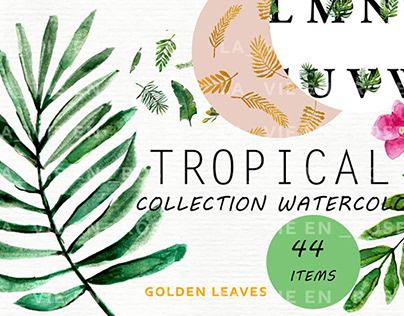 FREE Watercolor Tropical Illustrations