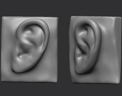 3D Ear model