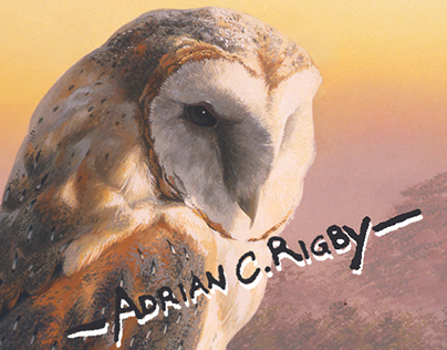 Stain glass collectible: Adrian Rigby Barn Owl