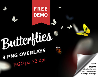 Free Butterfly Photo Overlays