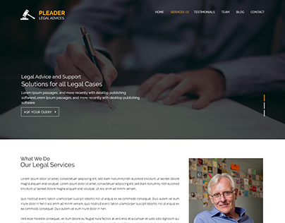 Pleader Law Services
