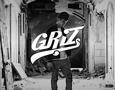 GRiZ website concept