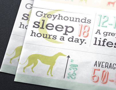 Greyhound Infographic