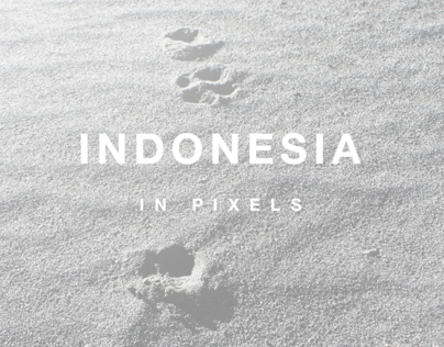 INDONESIA IN PIXELS