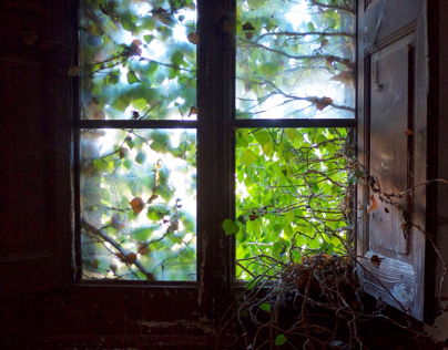 Windows from the abandoned