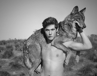 ©photography by Walter Jenkel Iberian wolf