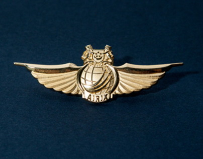 Air Vocation Badge