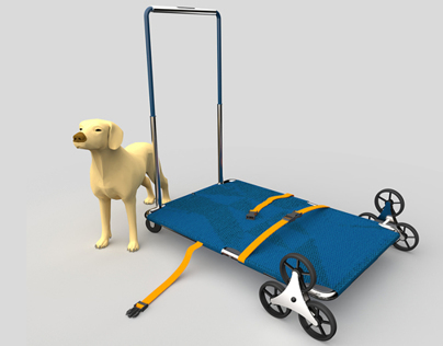 Stretcher for Dogs : Design for Special Needs