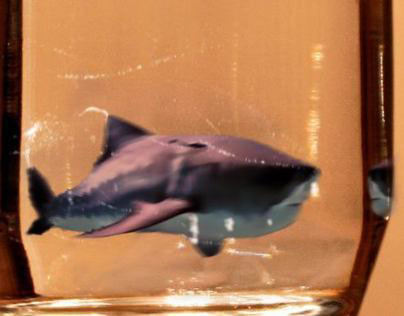 Shark in Water Glass