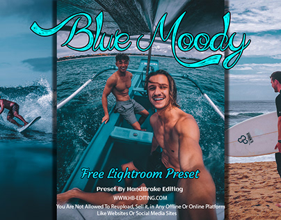 Blue Moody Lightroom Mobile & Desktop Presets