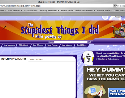 Stupidest Things I did Website