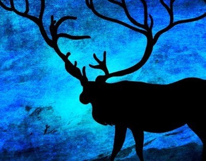 The deer at night ... Prints, Posters, Canvas