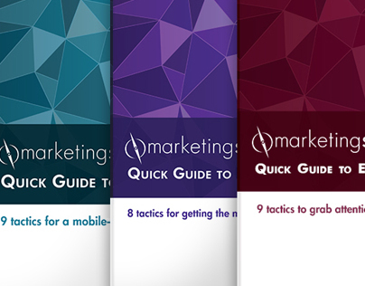 MarketingSherpa Quick Guides
