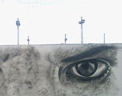 MONTE HERMOSO street art . Argentina