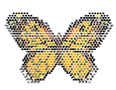 Experimental Butterfly