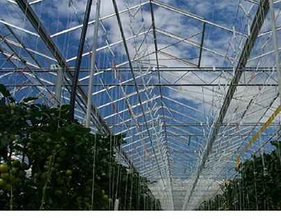 Multi-span glass greenhouse for agriculture crops