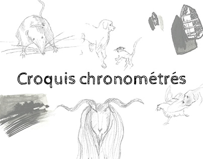 Croquis chronométrés - V.Hugo & T.Ungerer