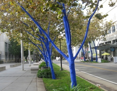 Blue Trees of Sacramento
