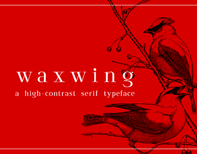 waxwing free display font