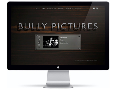 Bully Pictures