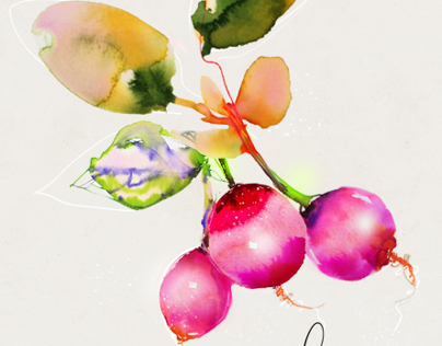 Watercolor Food Veggie Illustration