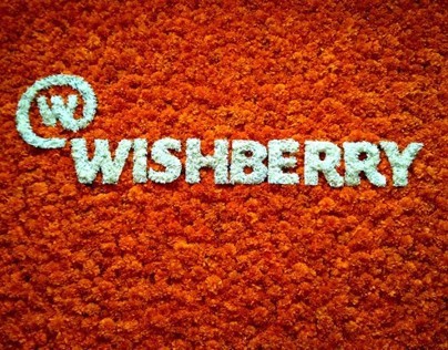Wishberry Website & User Interface