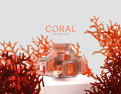 Coral Power Cube (2022/Teamproject)