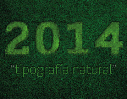 Calendario 2014 "tipografía natural"