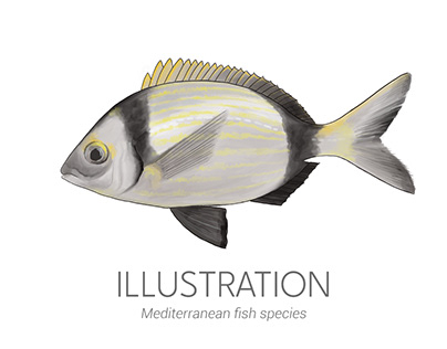 Mediterranean fish species