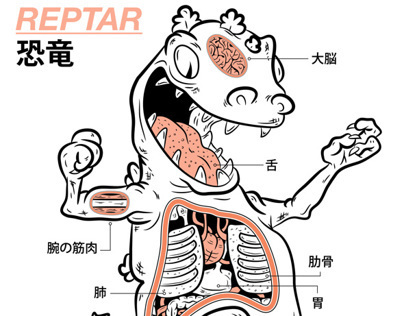 Reptar Anatomy