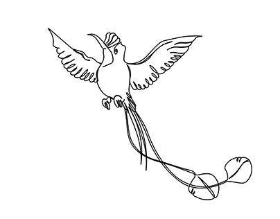 Bird Single Line Drawing