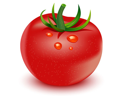 Illustrate a Vector Tomato