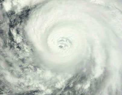 Hurricane Sandy Video for Biostorage.