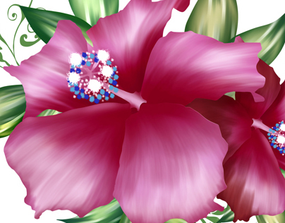 Ilustración Floral