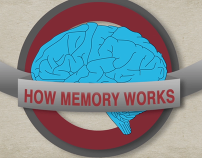 Memory Infographic