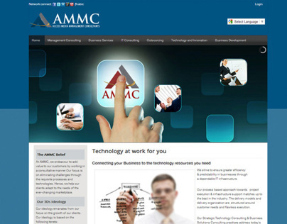 AMMC - Access Media Management Consultants
