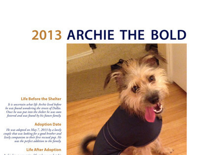 Archie the Bold