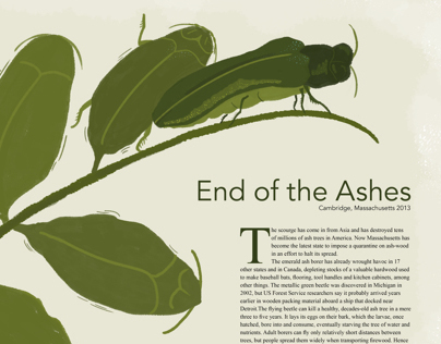 End of the Ashes: Social Issue Editorial