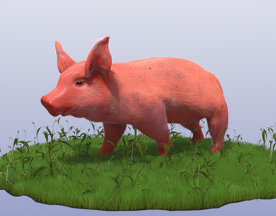 Small Pig 3D