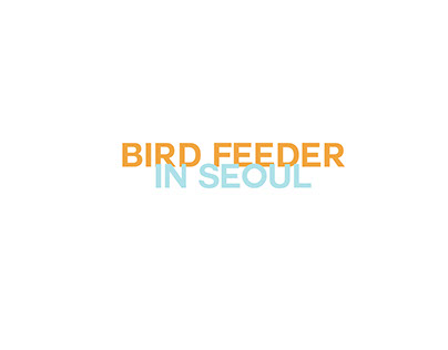 Bird Feeder in Seoul
