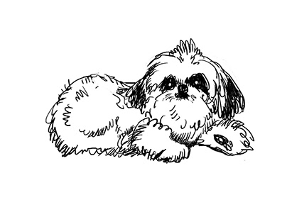 drawings of dogs I saw in the films