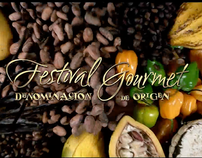 Festival Gourmet Sanborns 2017 "Denominación de Origen"