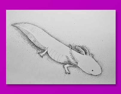 Dotted Axolotl