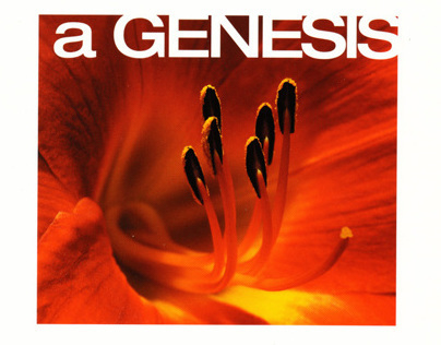 A Genesis - Book of Poetry