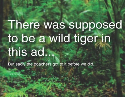 Save the wild tigers - WWF