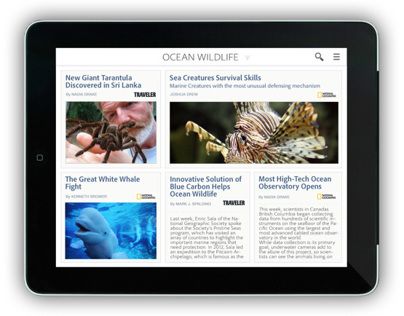 iPad magazine reader